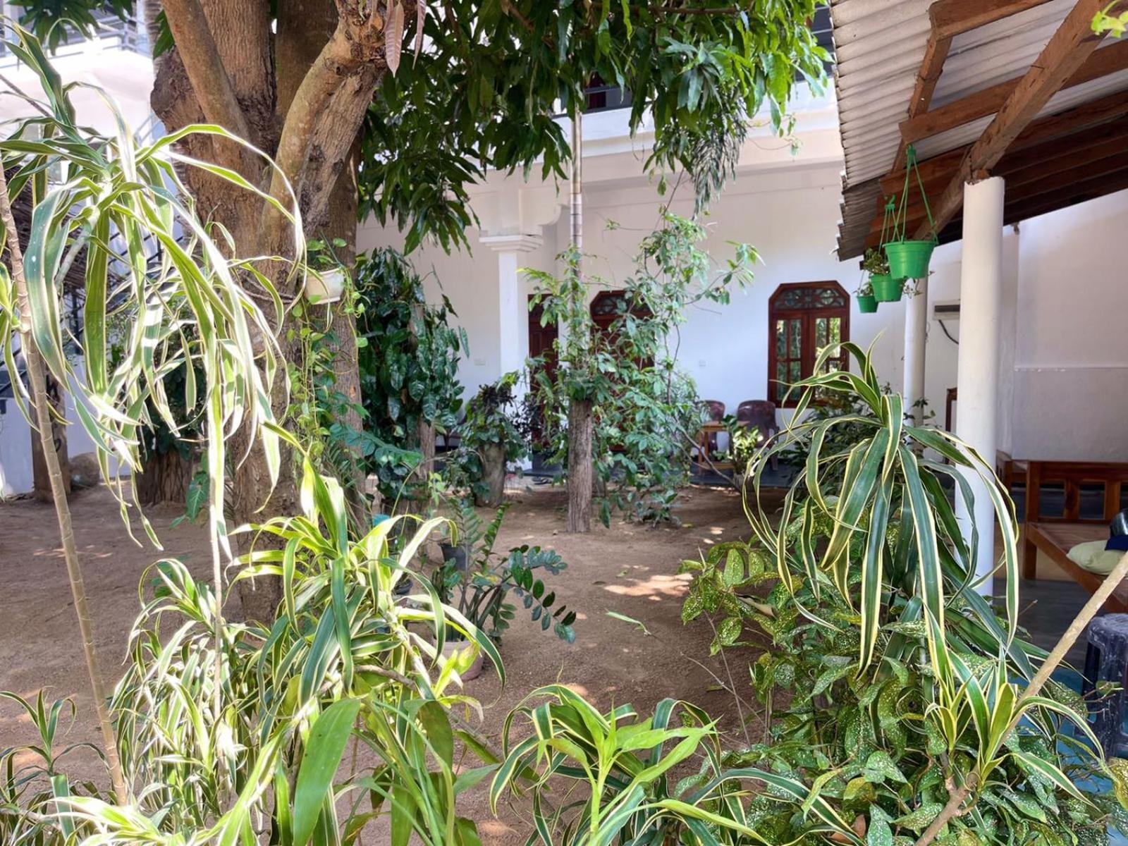 Arugambay Village آروغام المظهر الخارجي الصورة