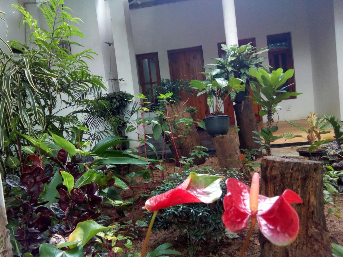 Arugambay Village آروغام المظهر الخارجي الصورة