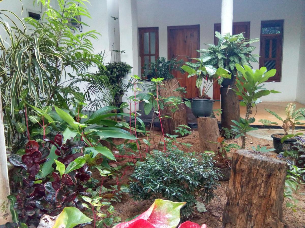 Arugambay Village آروغام المظهر الخارجي الصورة