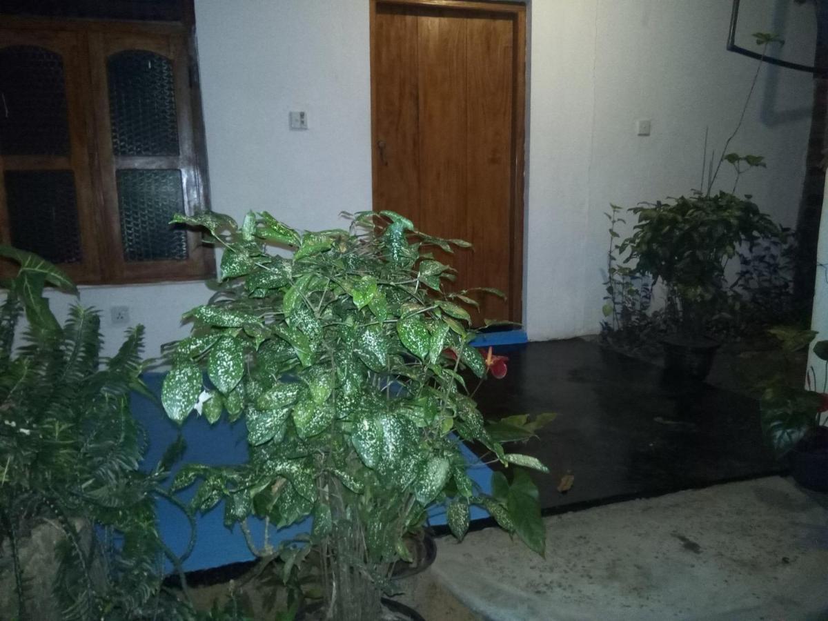 Arugambay Village آروغام المظهر الخارجي الصورة